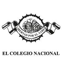 Las cabezas colosales olmecas - Ciclo de conferencias "La arqueología hoy"