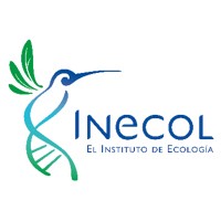 Curso-taller: "Principios teóricos y técnicos del cultivo de hongos comestibles (Pleurotus = Seta)