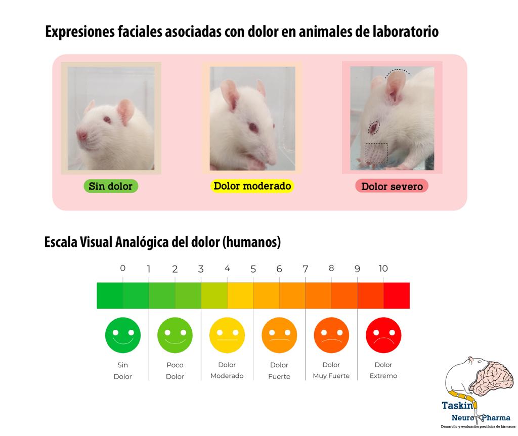 Boletin15_CICESE_Escala_dolor_grafico_de_JoaquinLopez_Carrillo_2.jpeg