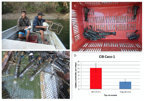 Fig_2_Resultados_de_Pesca_de_carnada_de_coco.png