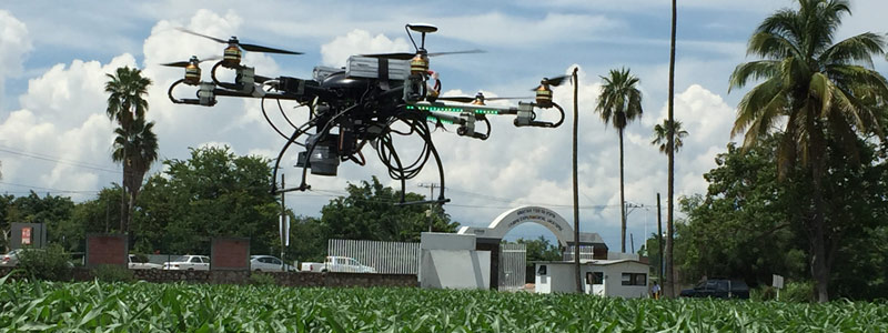 1-HEAD_dron2118.jpg
