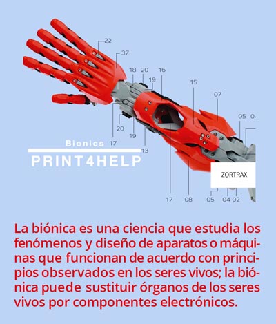 1 bionica0811