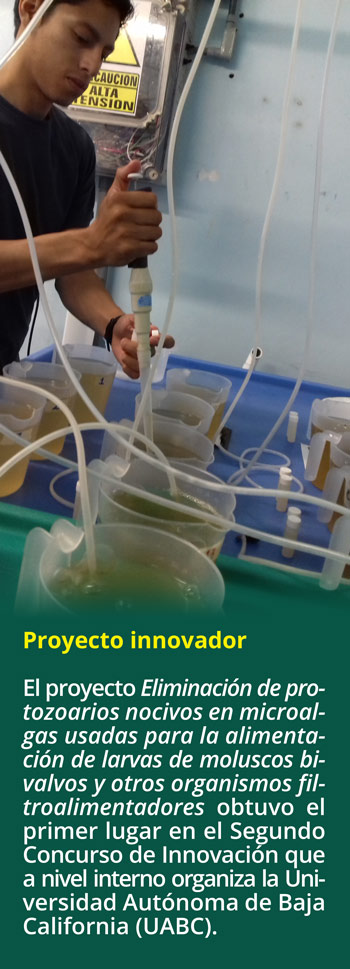 1-proyecto2018.jpg