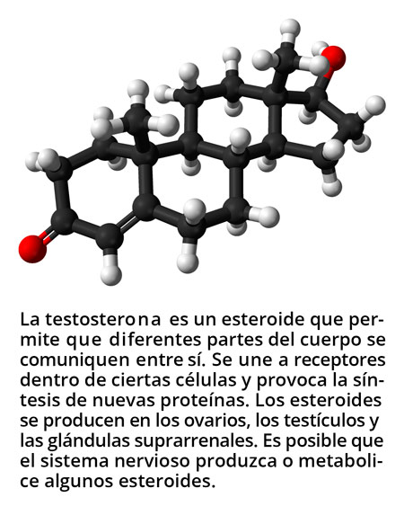 1-testoreno2818.jpg
