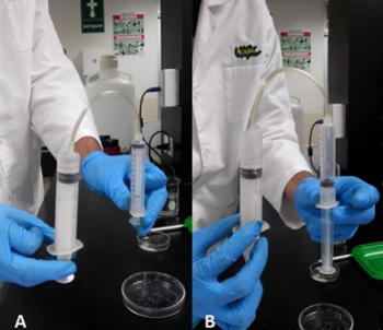 250Producción-de-CO2-mediante-bicarbonato-y-vinagre.-Imagen-Cortesía.jpg