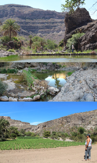 400Fotografías-Sierra-La-Giganta-y-rancheros-de-la-región---Cortesía-Tito-Fernando-Piñeda-Verdugo-(4).jpg