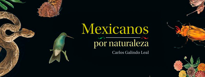 800x300MexicanosPorNaturaleza_18022.jpg