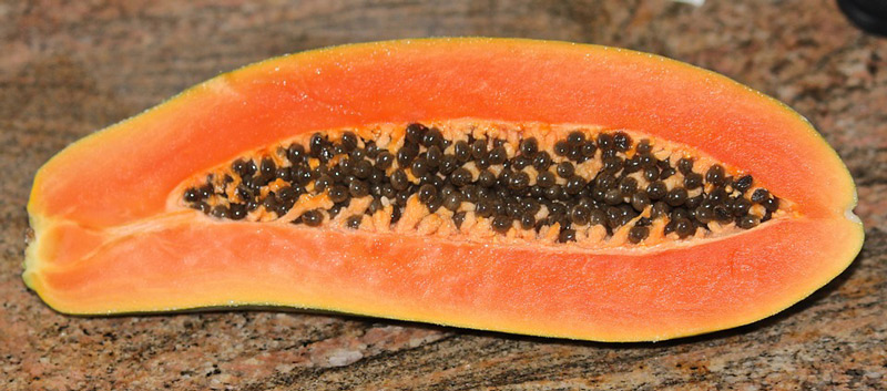 800x300_Papaya-1805_23-4.jpg