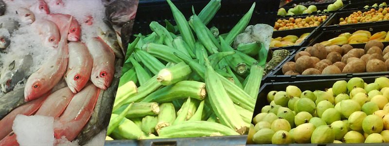 800x300_rad_alimentos_175.jpg