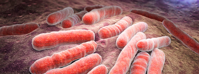 800x300_tuberculosis_1804.jpg