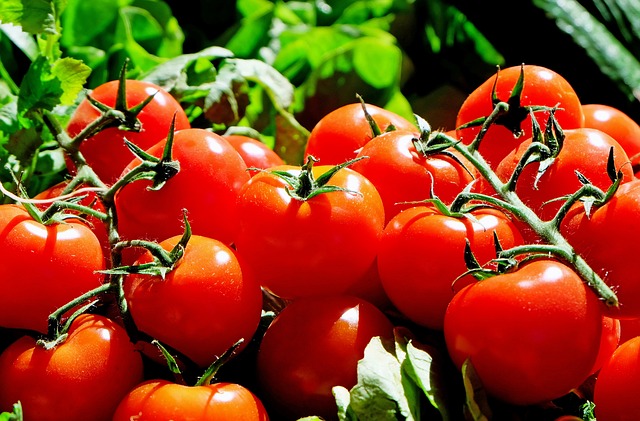 tomatoes 1280859 640