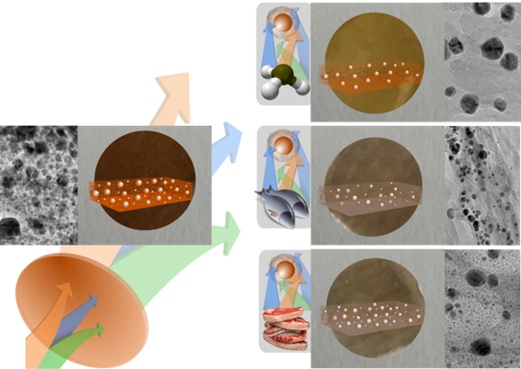 visual detection of volatile compounds in a piece of plasmonic nanopaper