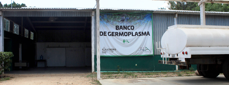 BancoGermoplasma_189.jpg