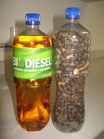 Biodiesel-UAQ-6.jpg