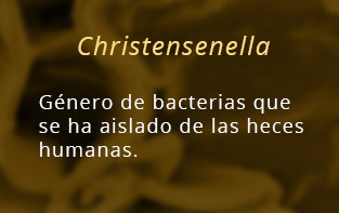 Ch_Christensenella.jpg