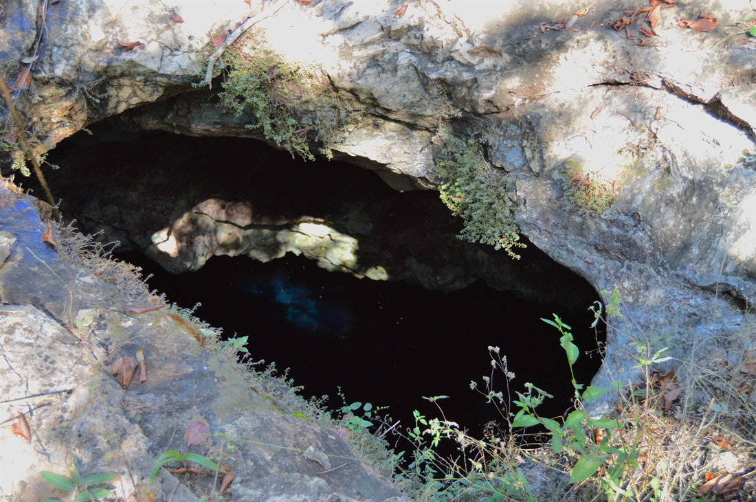 Entrada-al-cenote1100.jpg