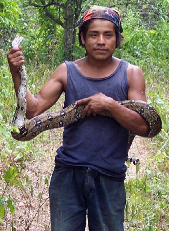 Jetsyuu Mazacuata Boa constrictor