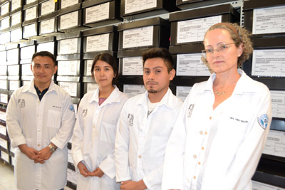 Laboratorio-de-Bioarqueología-de-la-Universidad-Autónoma-de-Yucatán.jpg