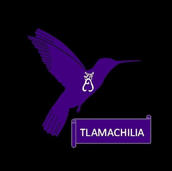 Logo Tlamachilia