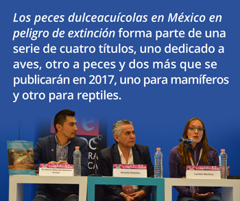 Los-peces-dulceacuícolas-en-México-en-peligro-de-extinción-forma-parte-de-una-serie-de-cuatro-títulos,-uno-dedicado-a-aves,-otro-a-peces-y-dos-más-que-se-publicarán-en-2017,-uno-para-mamíferos-y-otro-para-reptiles2.jpg