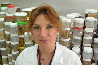 María-Teresa-Herrera-Dorantes,-auxiliar-de-investigación-del-Laboratorio-de-Bentos-del-Centro-de-Investigación-y-de-Estudios-Avanzados-del-Instituto-Politécnico-Nacional-(CINVESTAV-IPN)-Unidad-Mérida.jpg