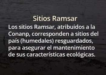 Sitios_Ramsar-172.jpg.jpg