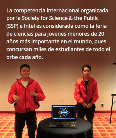 Soc_217-sd.jpg
