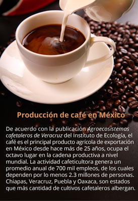 Cafe mexico 16 04 3