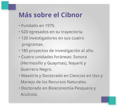 recuadro mas sobre cibnor