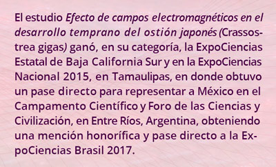 1 estudio0816