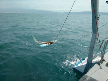 Toma de muestras en Bahia de Todos Santos. Foto Cortesia 42916