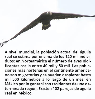 aguila rec1 92917