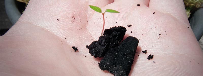 banner biochar