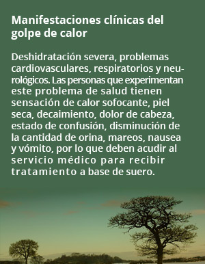 colimarec1 118