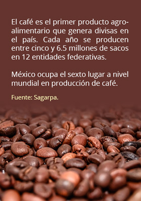 recuadro produccion cafe mexico sagarpa