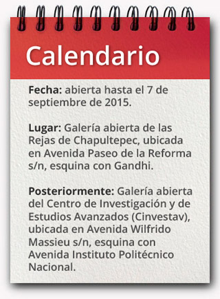 calendario del golfo al pacifico