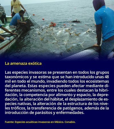 1 amenaza1606