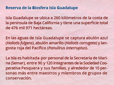 1 reserva3005
