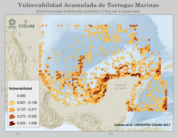 1 vulnerabilidad2706 1