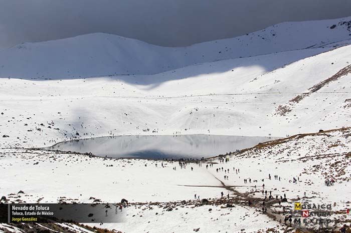 1er lugar Nevado de Toluca conabio700px