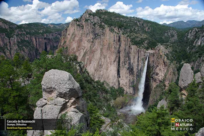 Mencion Cascada de Basaseachi conabio700px