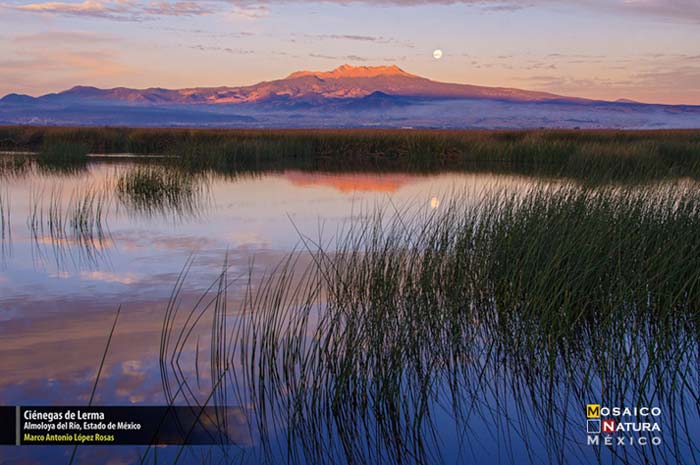 Mencion honorifica Cienegas de Lerma conabio700px