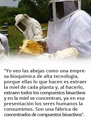 bee rec2 913