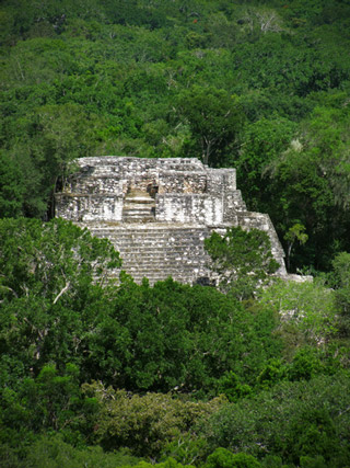 calakmul piramide