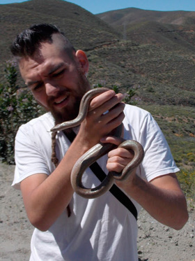 carlos yanez serpiente01