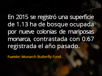 info hectareas mariposa monarca01