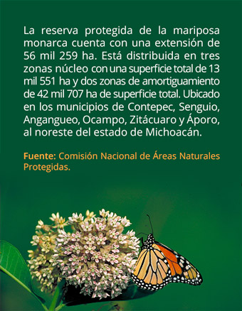 info mariposa monarca santuario01