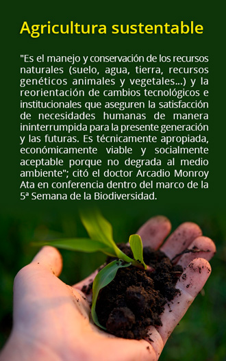 recuadro agricultura sustentable