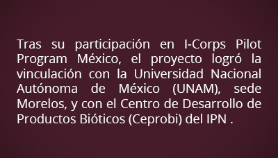 icorps pilot unam