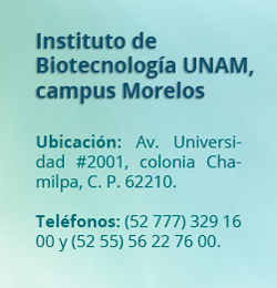 instituto biotecnologia unam morelos